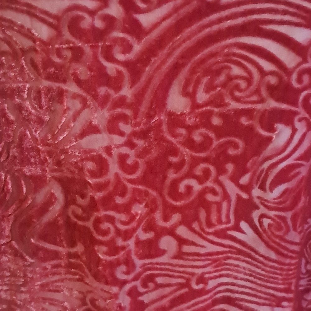 Women Red Floral Burn-Out Velvet Button Down Blouse Size L Boho Y2K - Picture 6 of 9